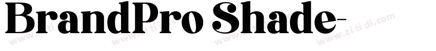 BrandPro Shade字体转换